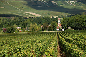 Champagne A. Robert: Fossoy village